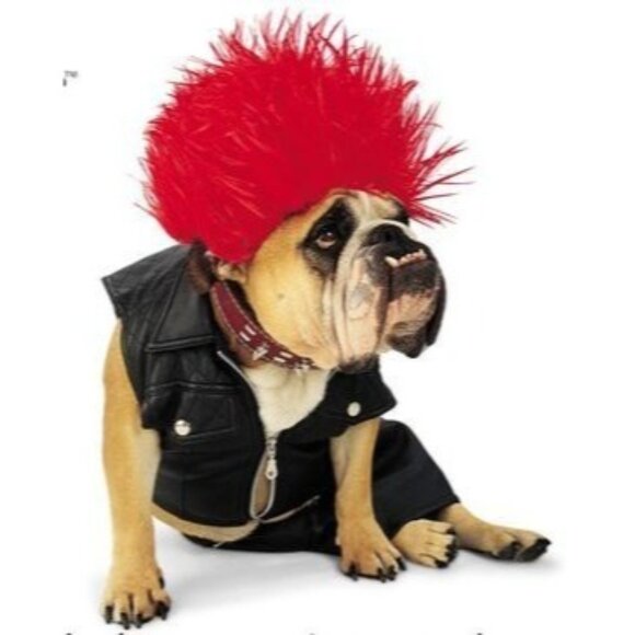 Halloween Zelda Wisdom Bulldog Punk Rock Dog Costume S Rocker biker harley - Picture 1 of 7